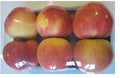 Polish Champion Apples 12 kg