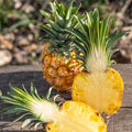 Fresh Royal baby pineapple one piece
