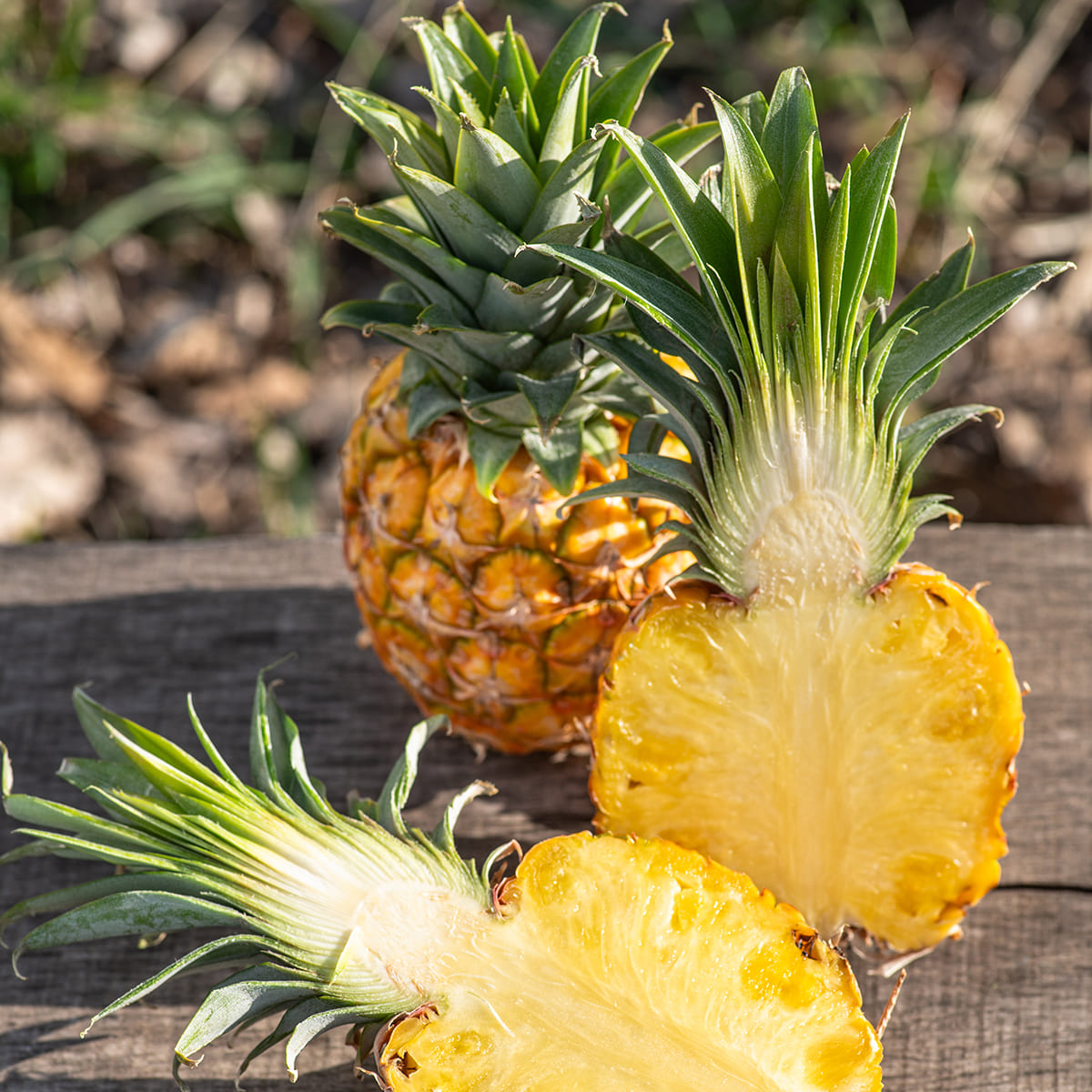 Fresh Royal baby pineapple one piece
