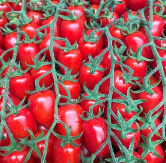 DATE TOMATOES